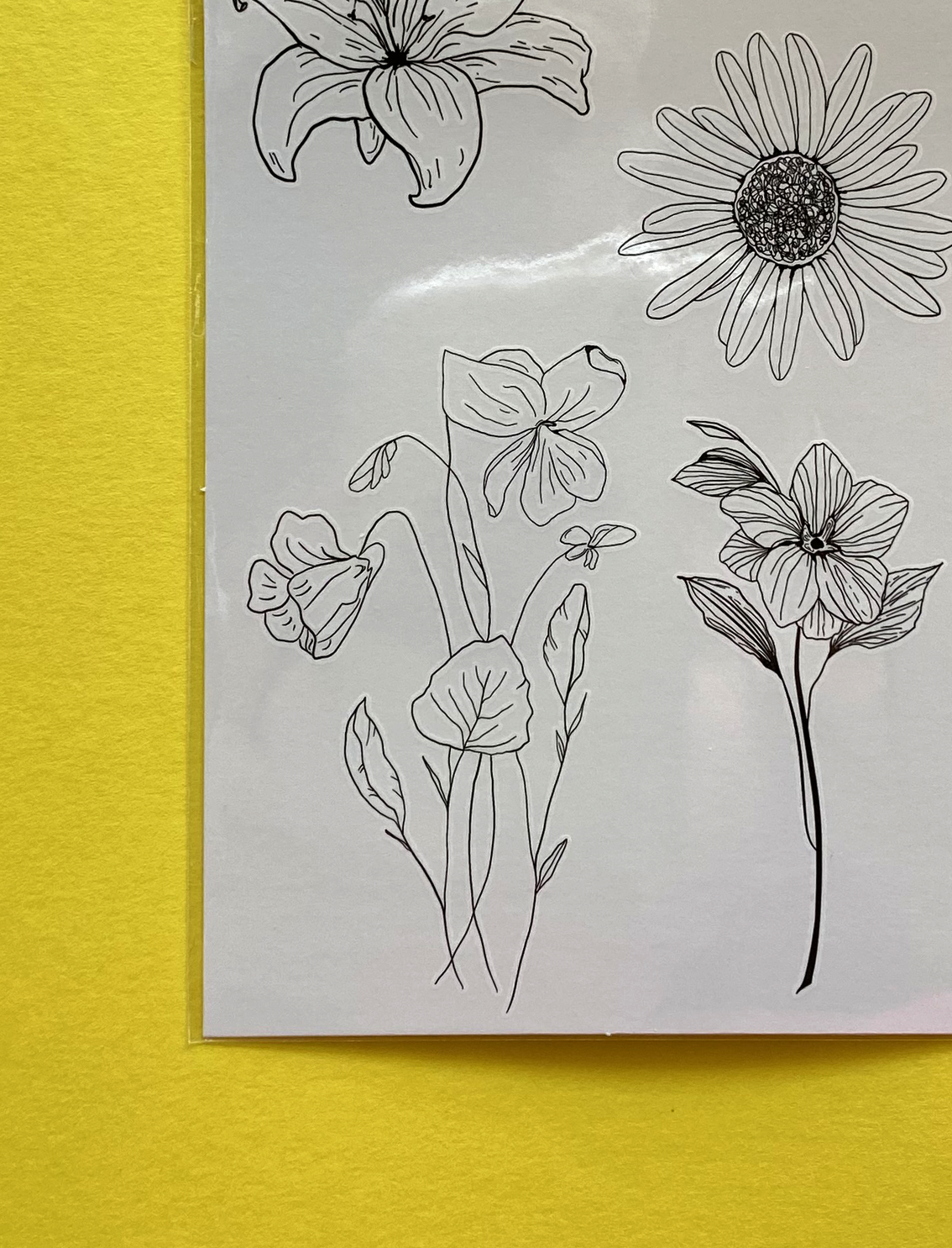 קעקועים זמניים Flora