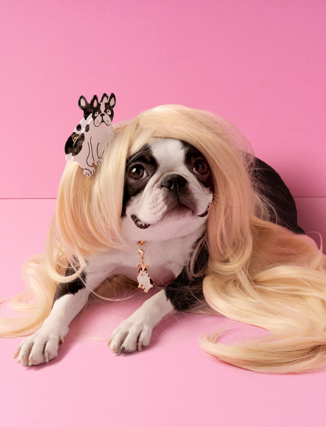 קליפס לשיער Bulldog