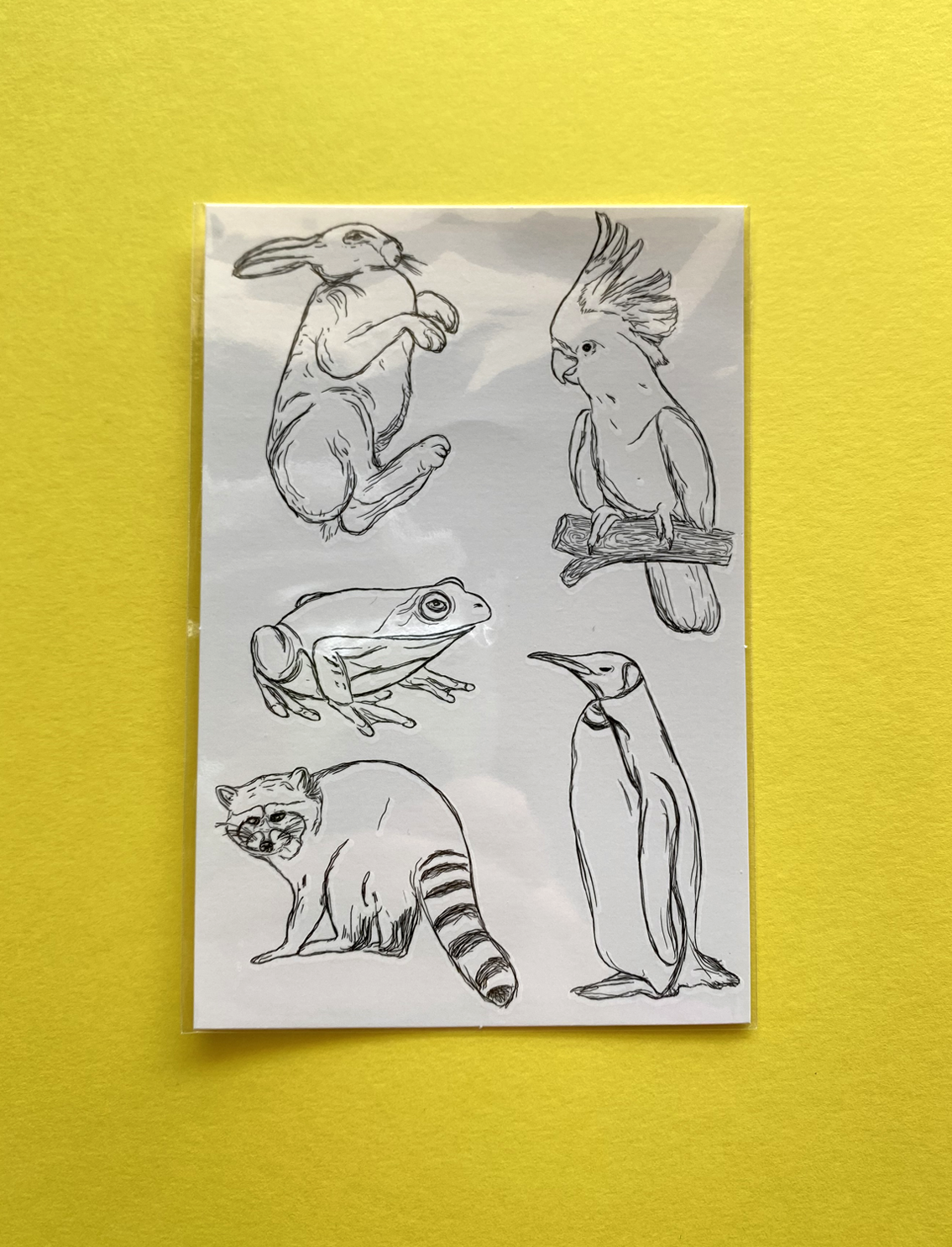 קעקועים זמניים Wild