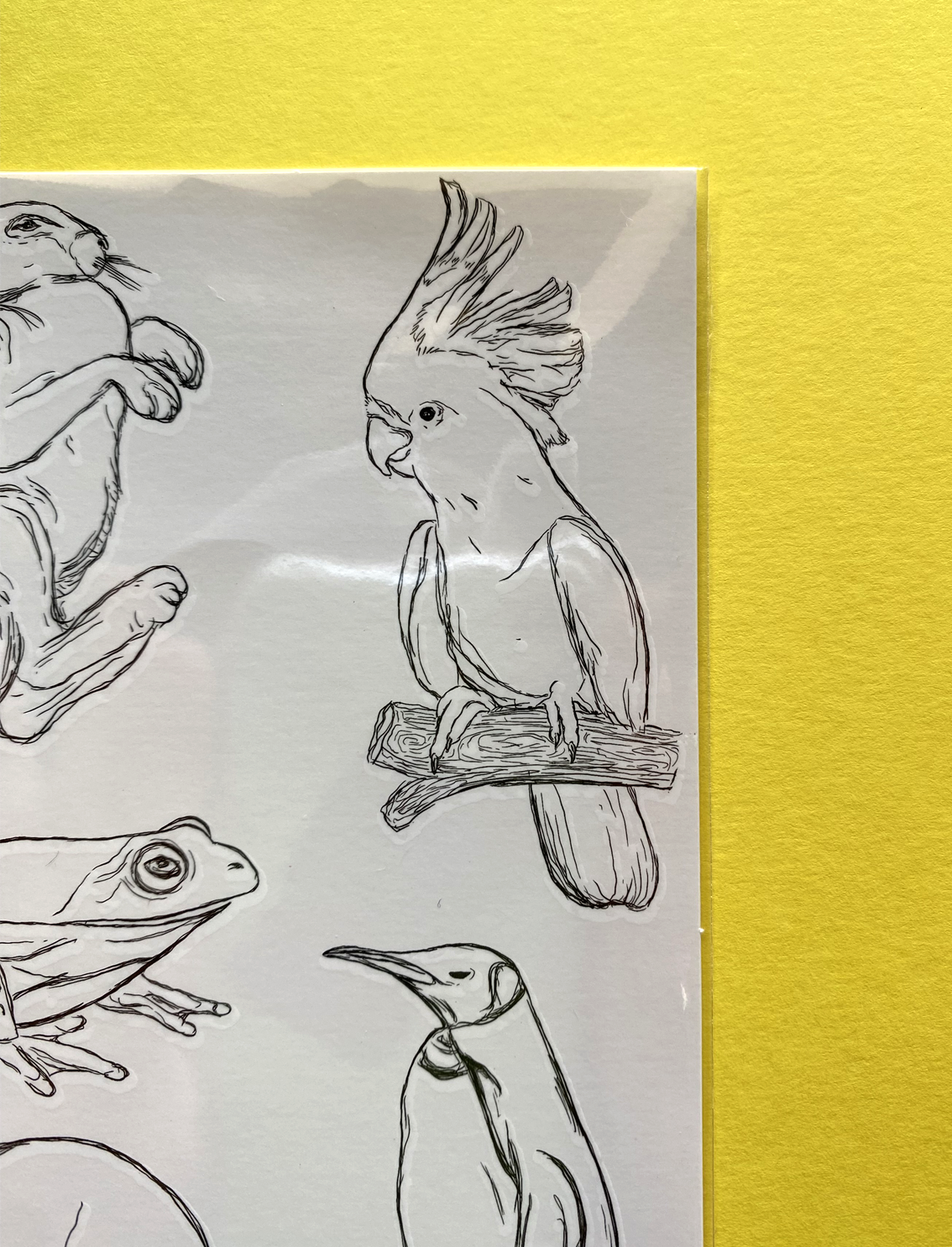 קעקועים זמניים Wild