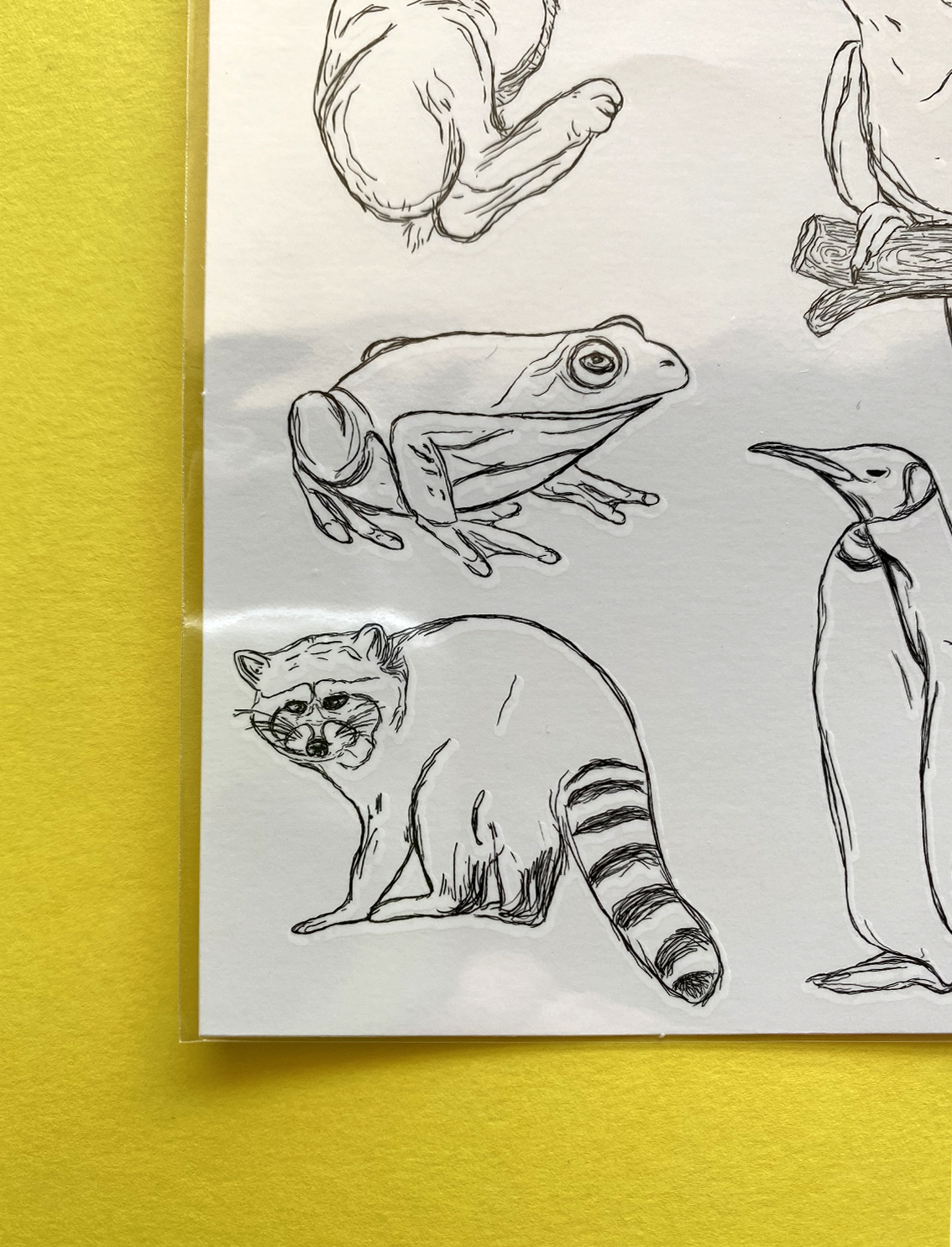 קעקועים זמניים Wild