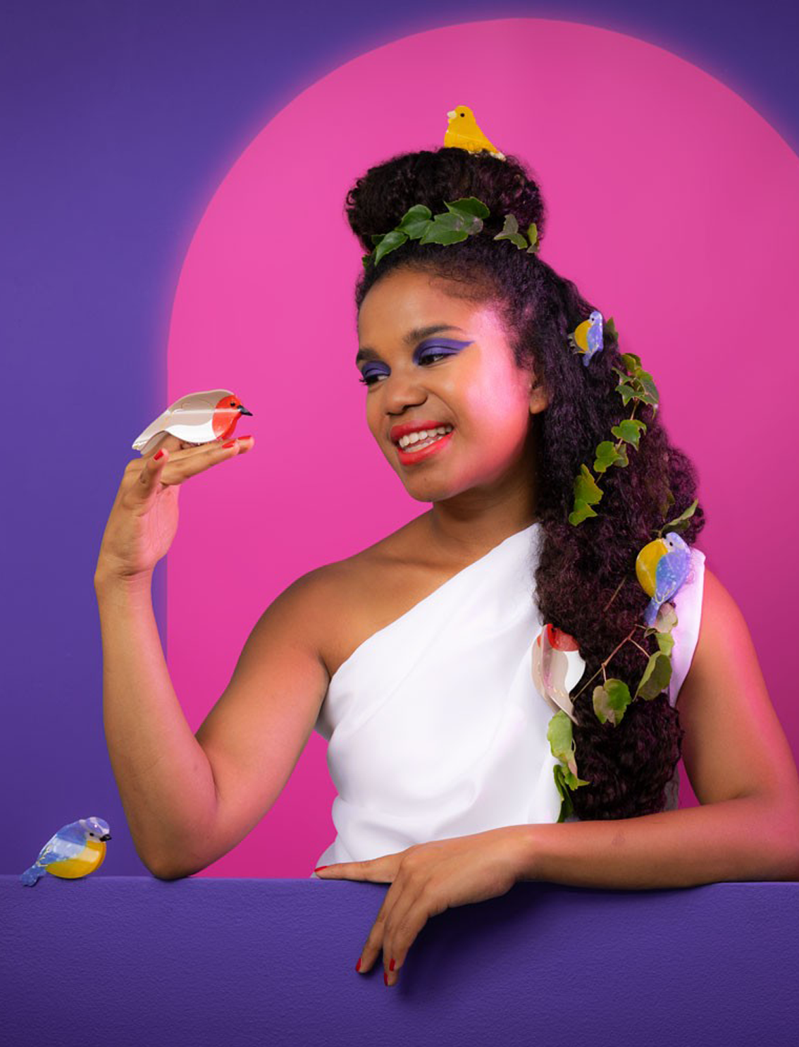 קליפס לשיער Bird