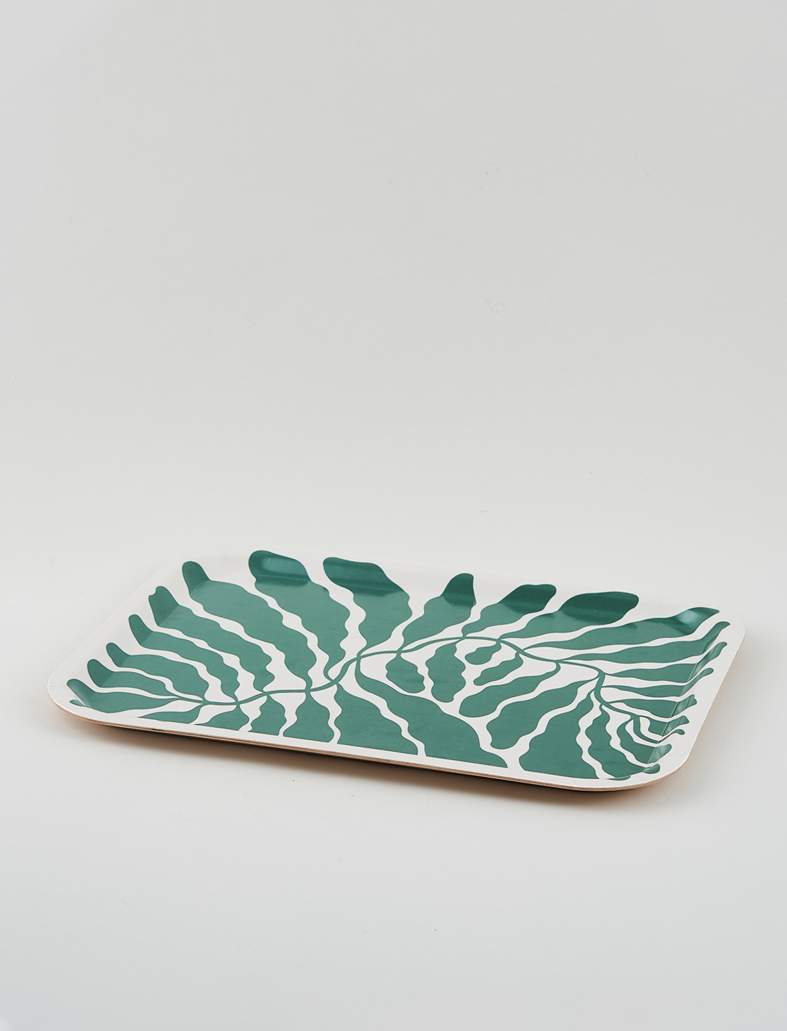 מגש מלבני Green Leaves