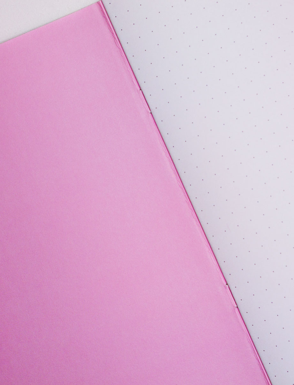 מחברת Pink Mustard Animal A5