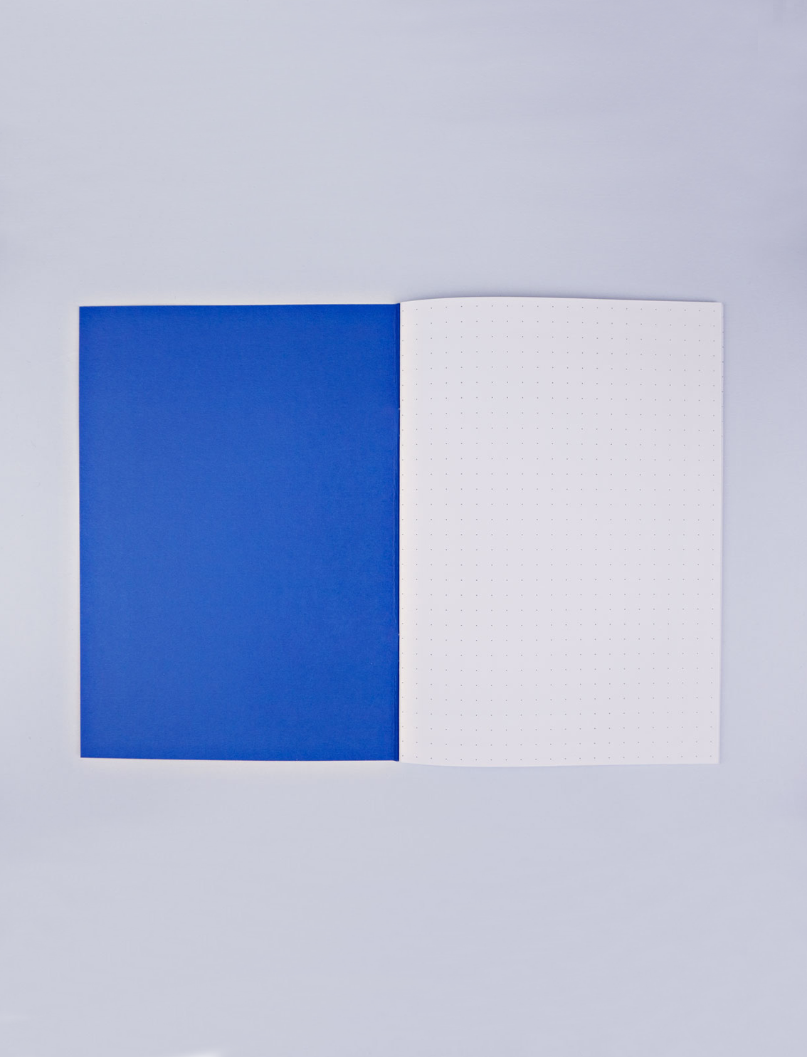 מחברת Statue Face A5