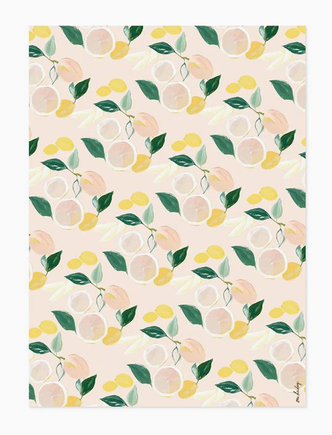 סט 3 ניירות עטיפה citrus