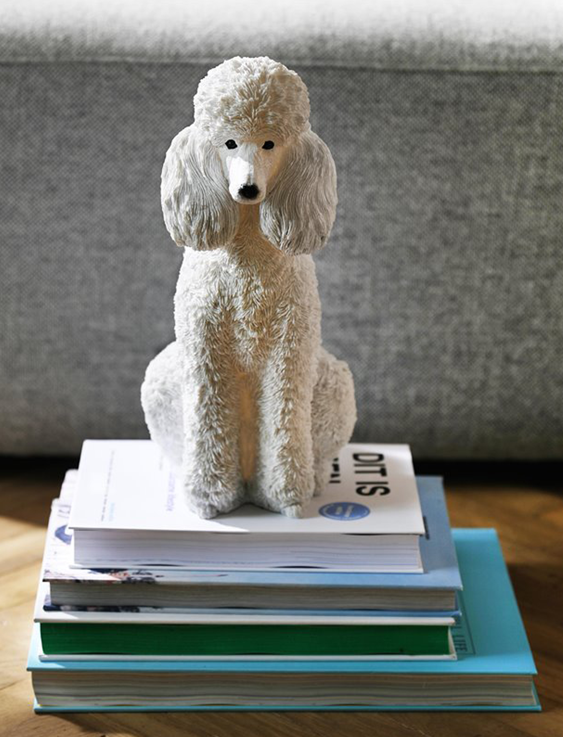 קופת חיסכון POODLE