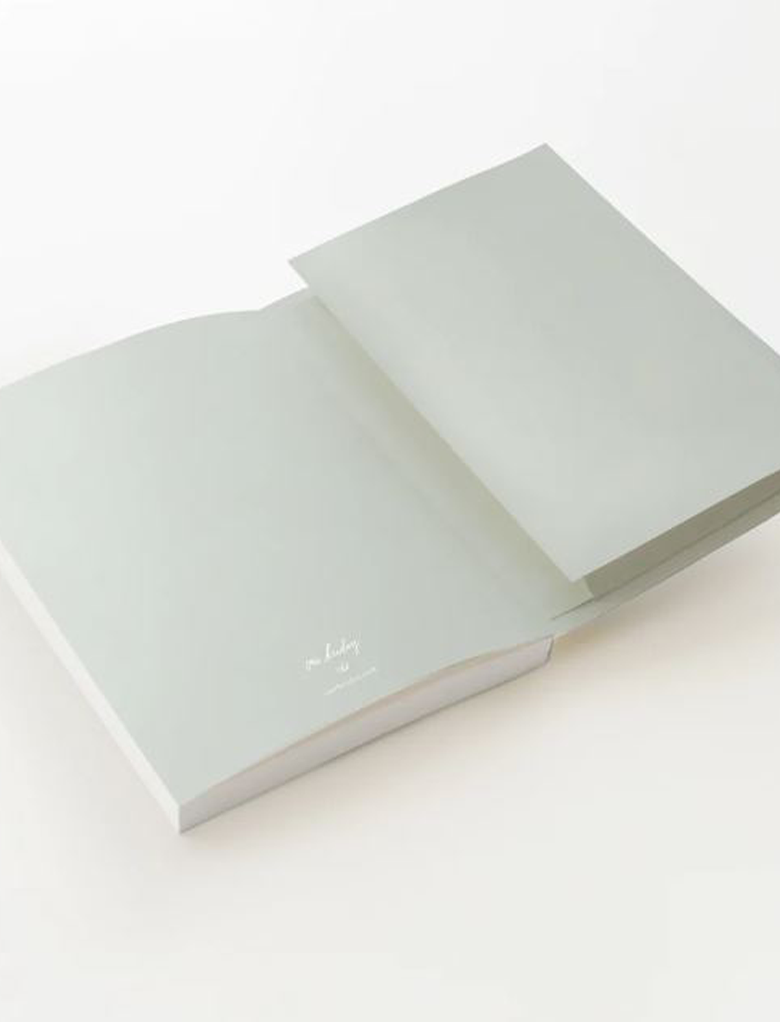 ארגונית Honey Grid Dot Grid