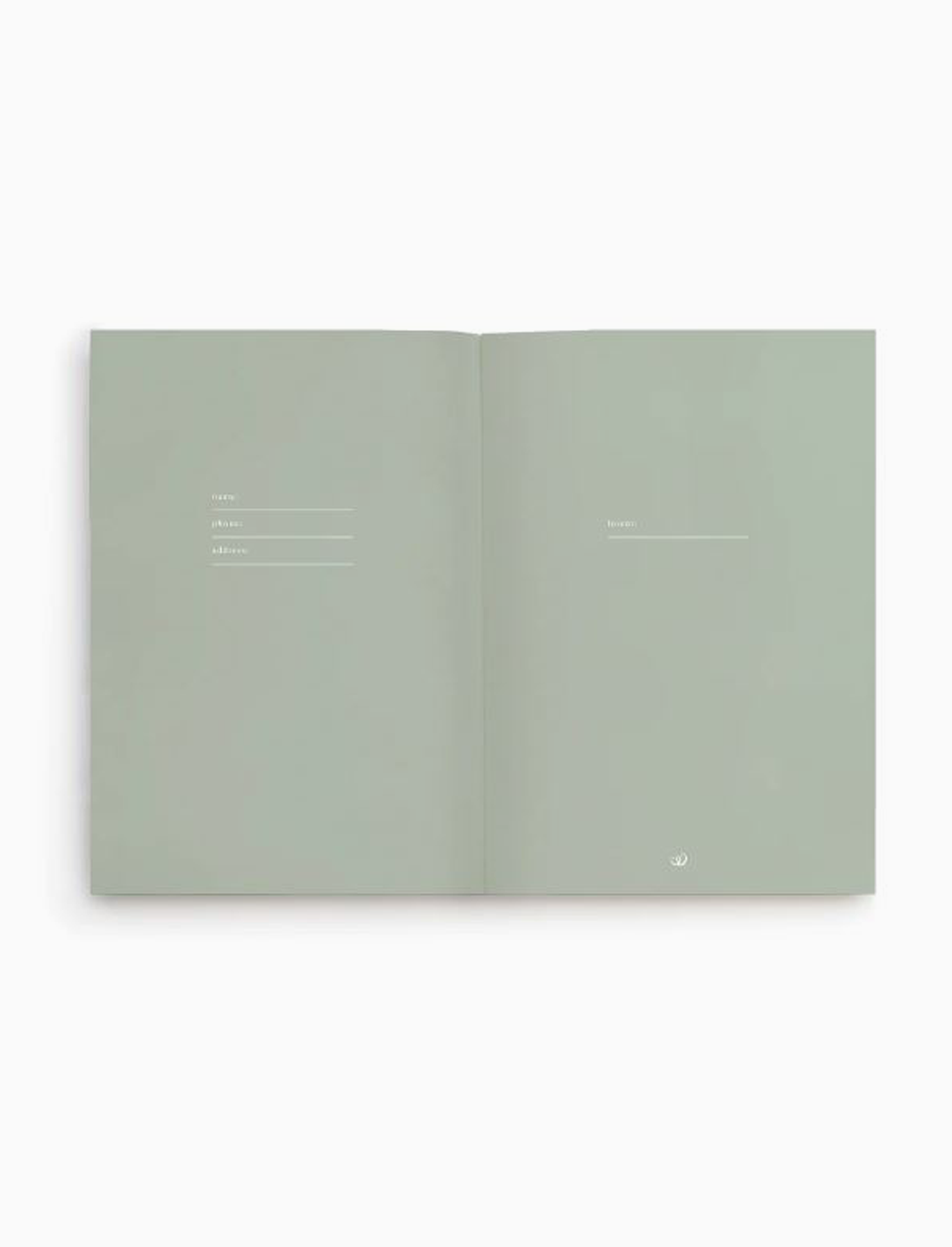 ארגונית Honey Grid Dot Grid