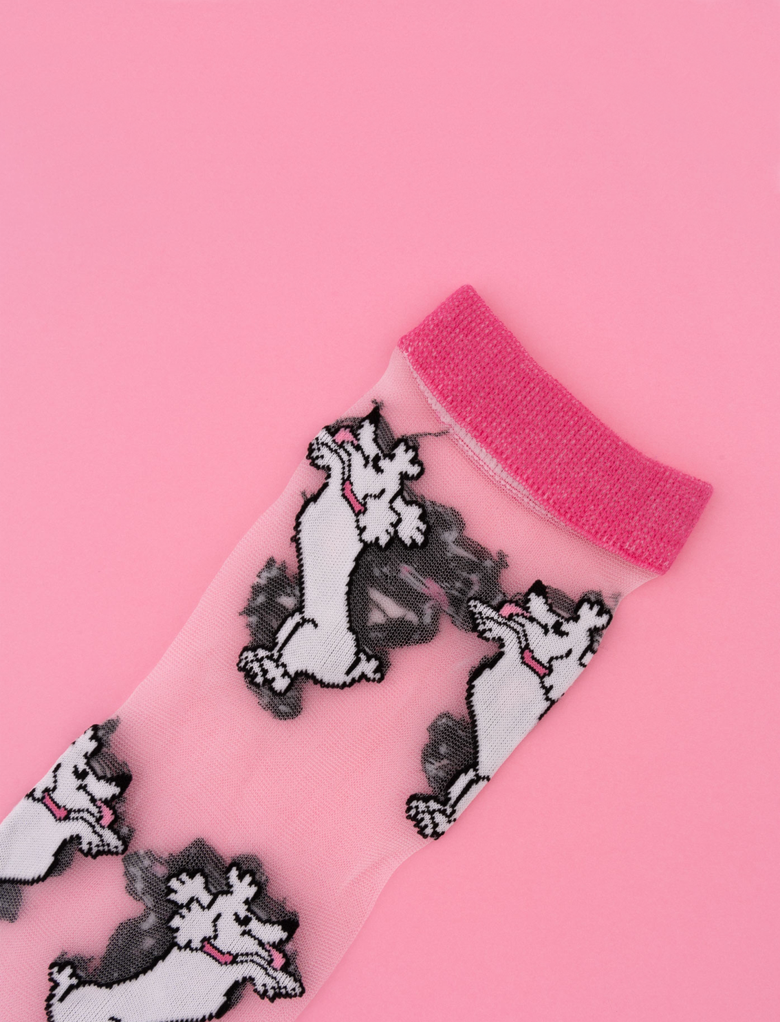 גרביים שקופות Poodle