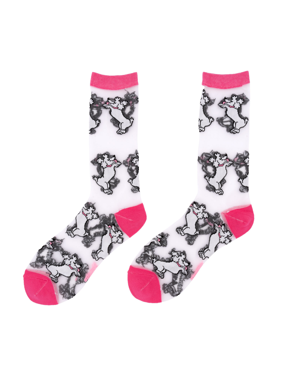 גרביים שקופות Poodle