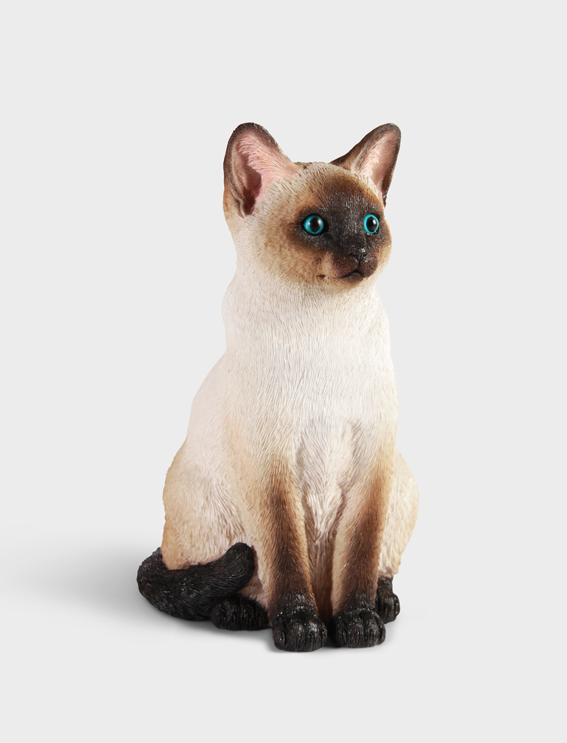 קופת חיסכון Siamese