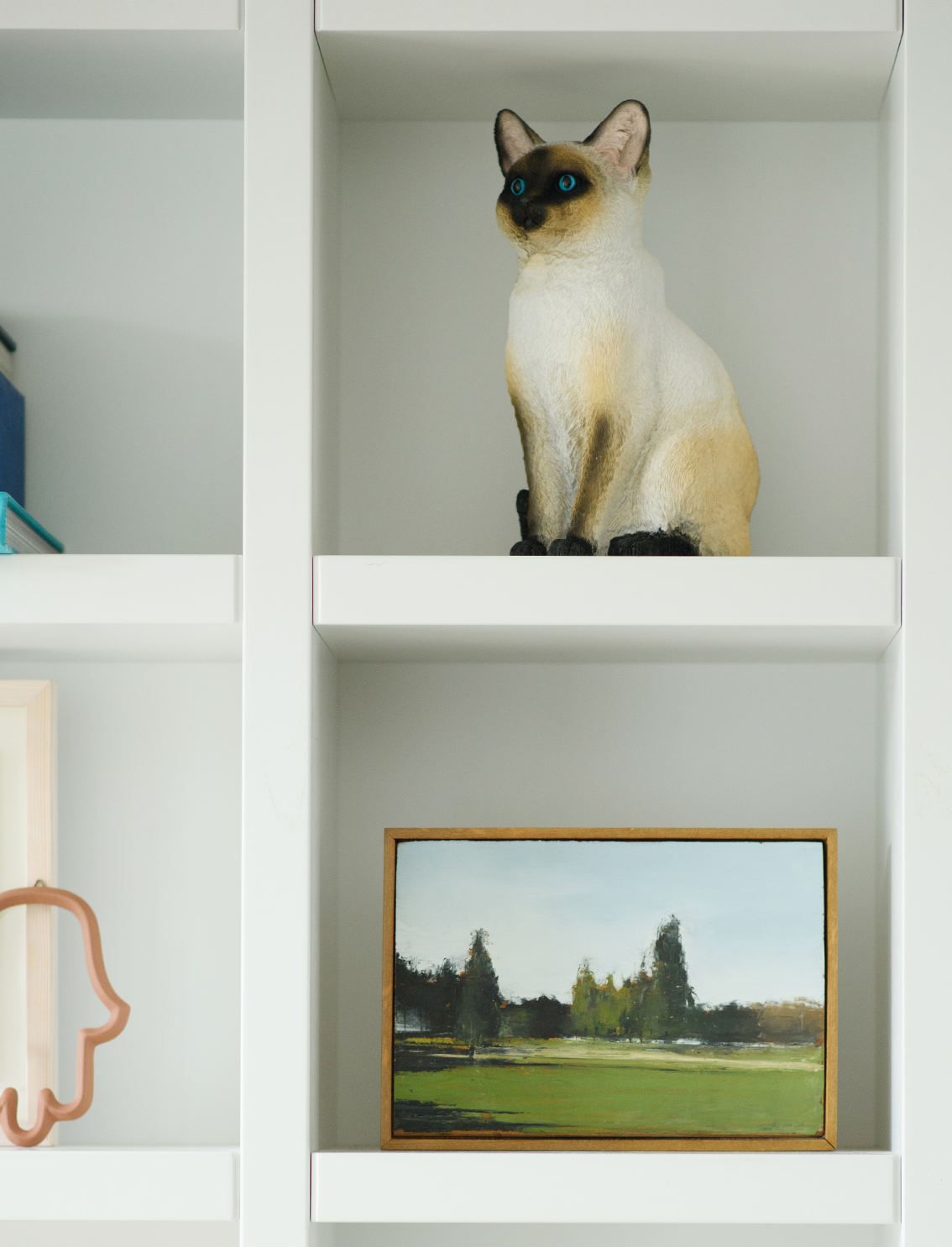 קופת חיסכון Siamese