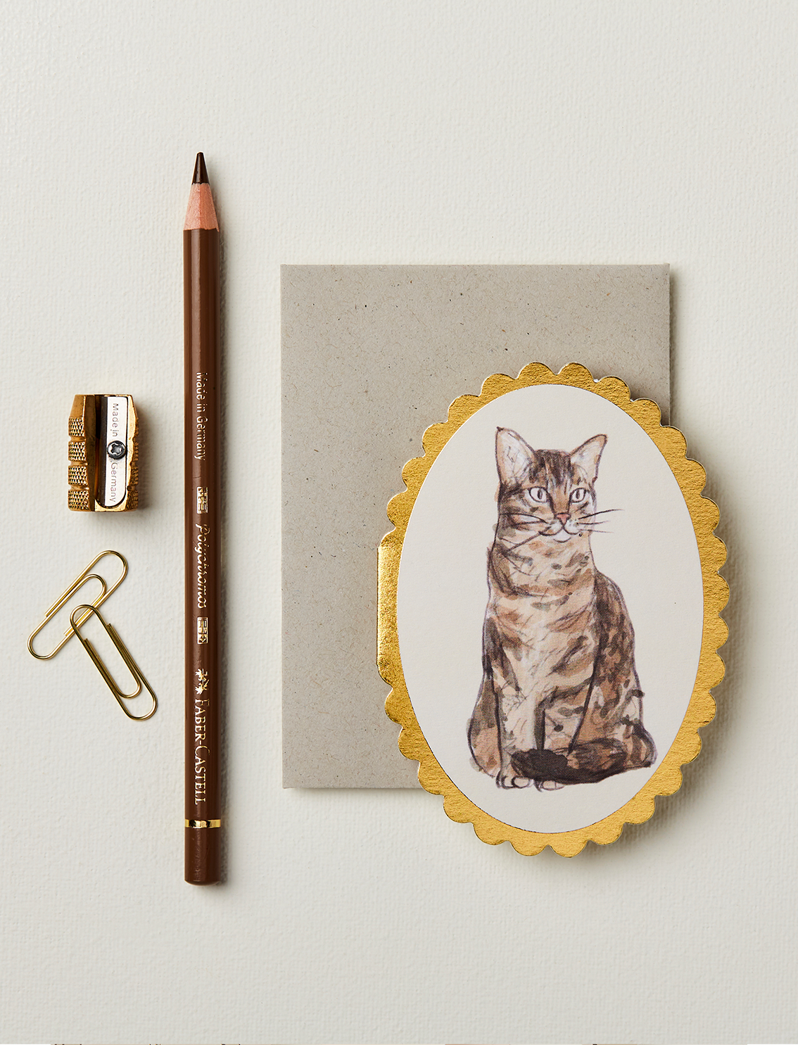 כרטיס ברכה Tabby Cat Mini