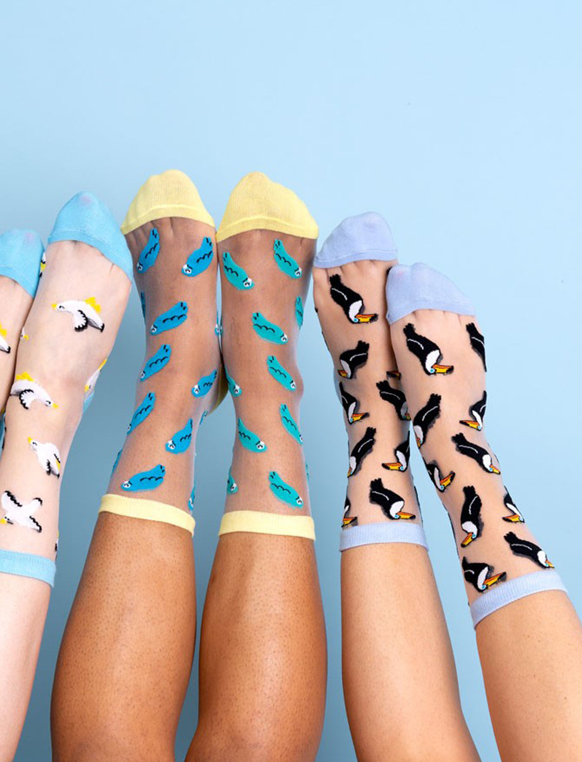 גרביים שקופות Toucan