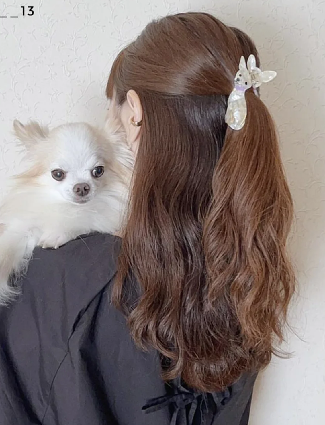 קליפס לשיער Chihuahua