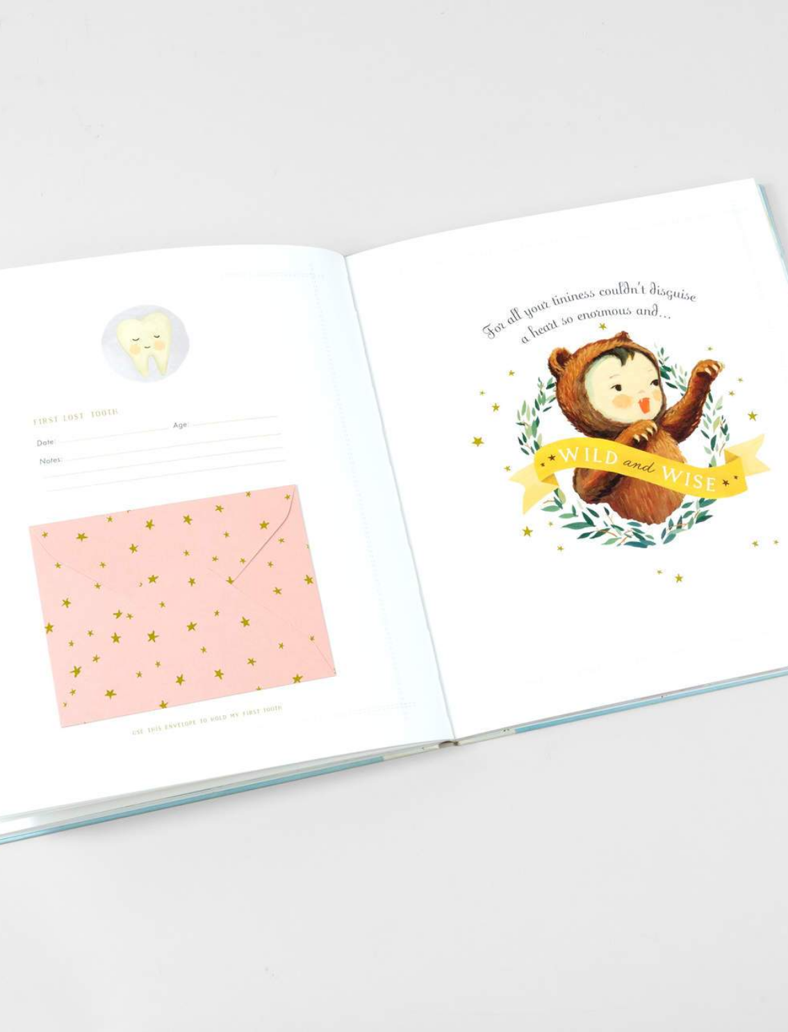 יומן מזכרות לתינוק: The Wonderful Baby You Are