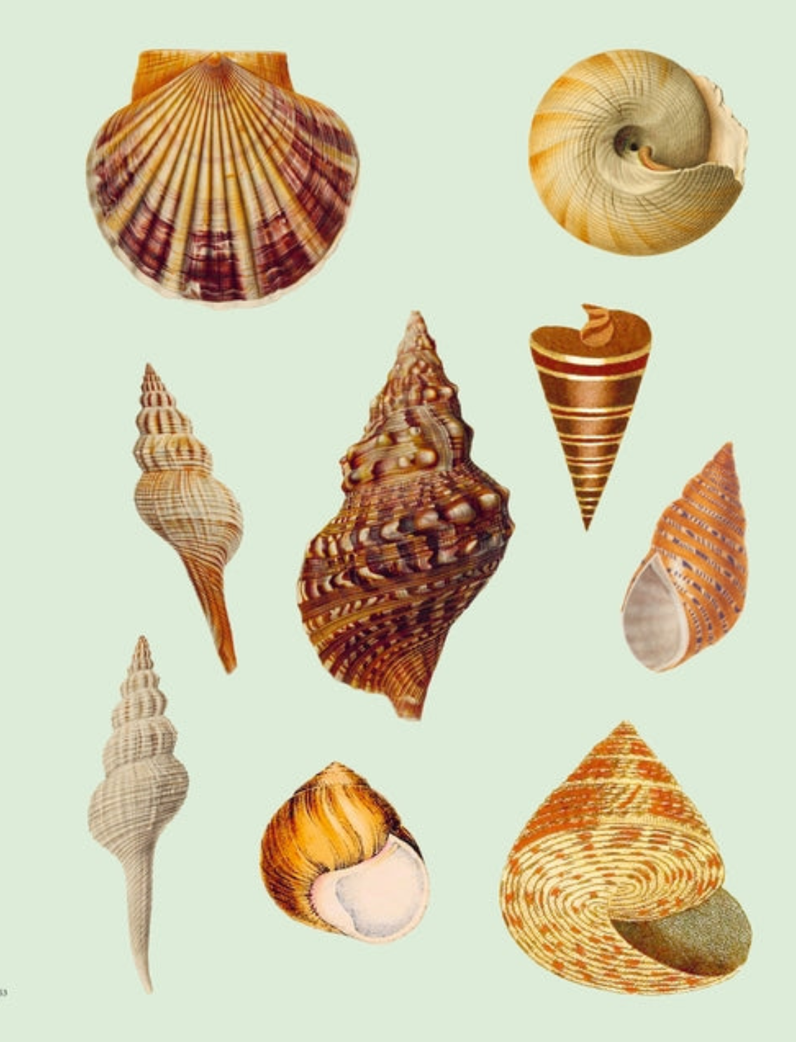 ספר מדבקות Extraordinary Things