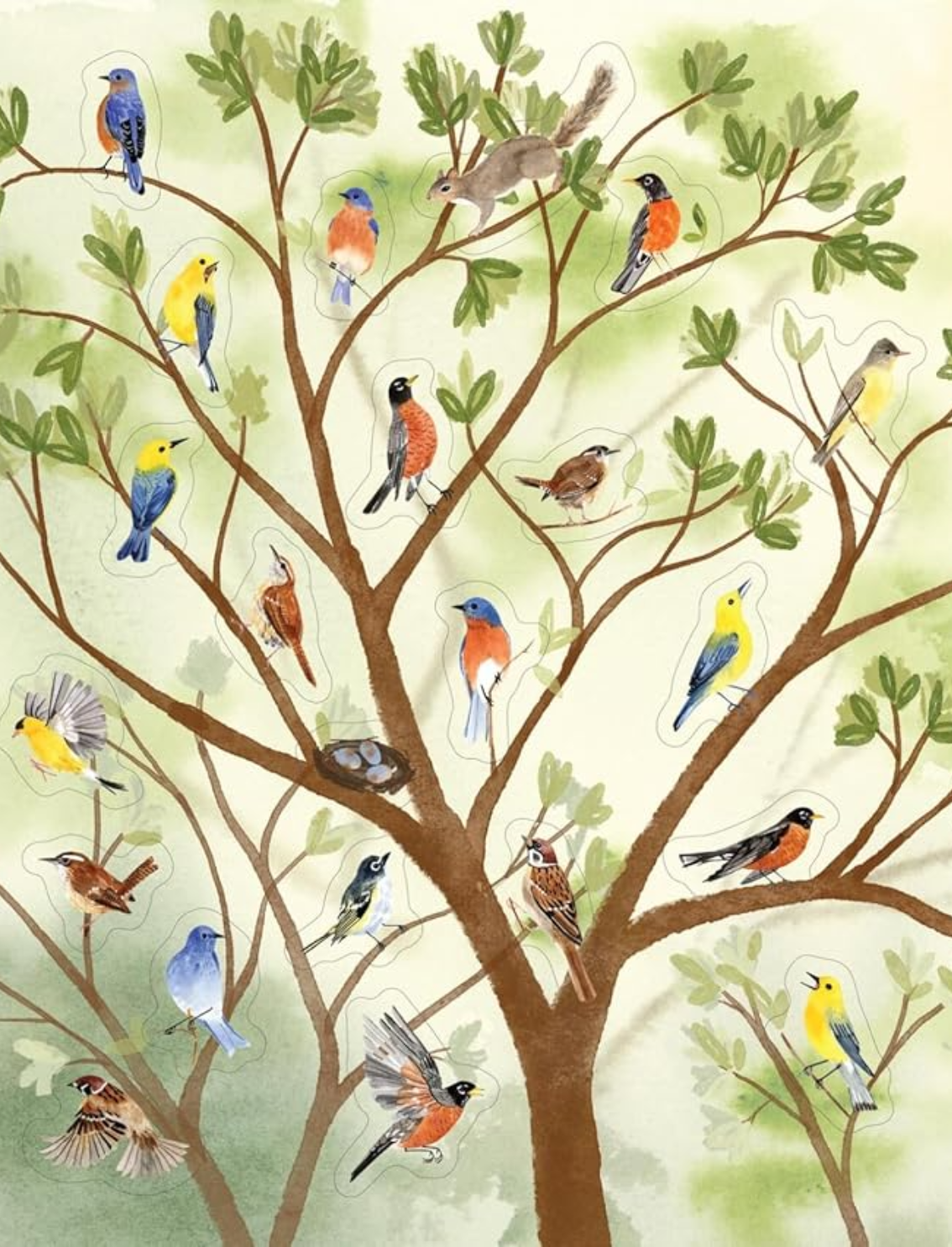 ספר מדקות Bird Lover's