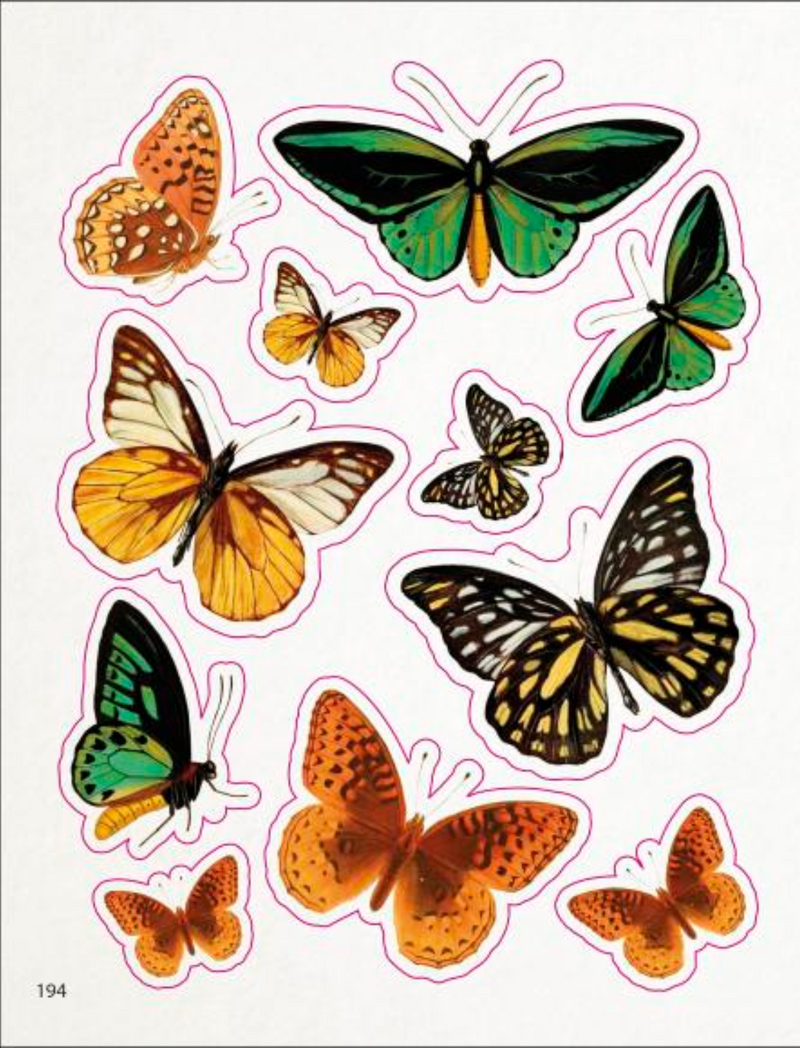 ספר מדבקות: The Bees, Birds & Butterflies Sticker Anthology