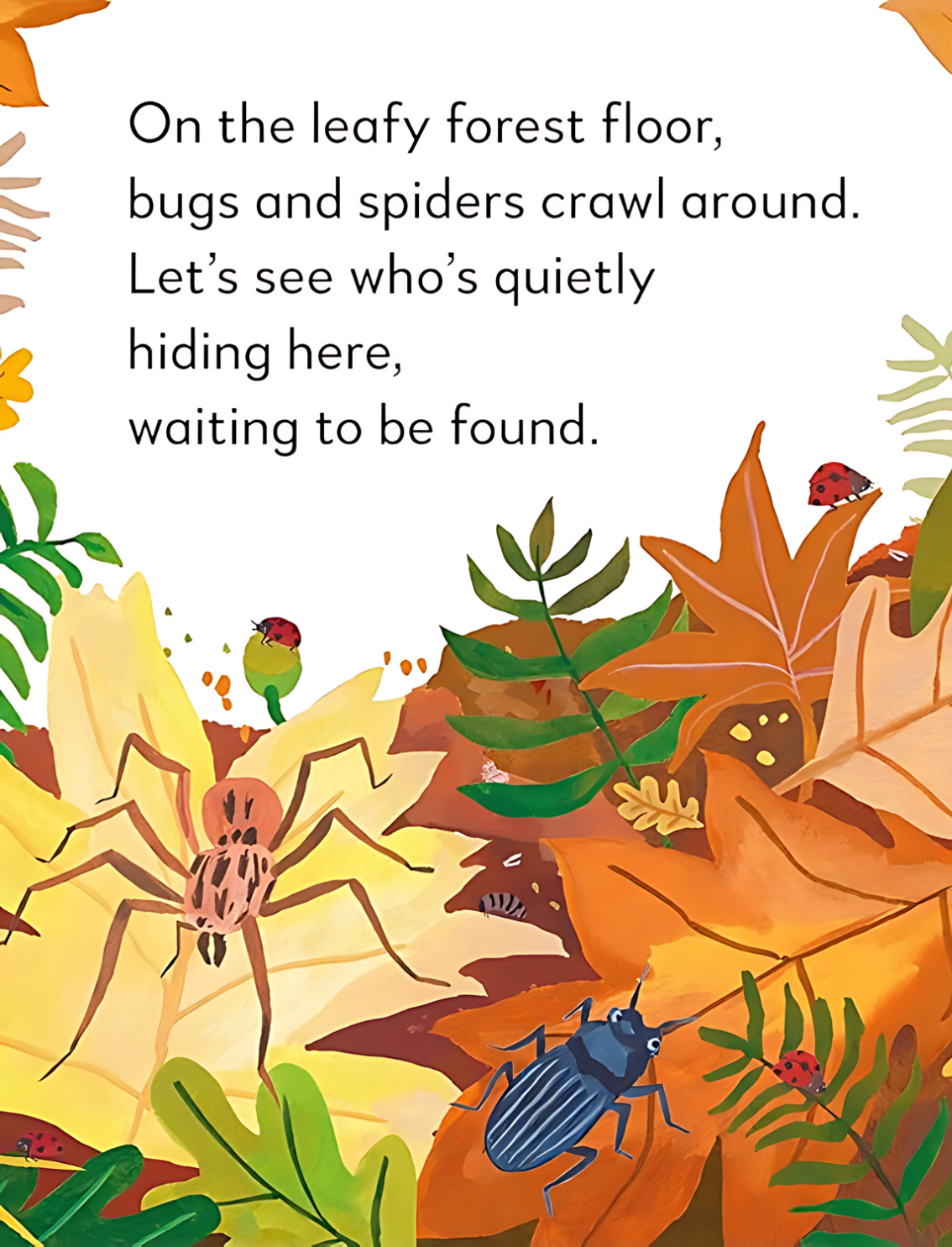 ספר פופ אפ: Peekaboo! Forest