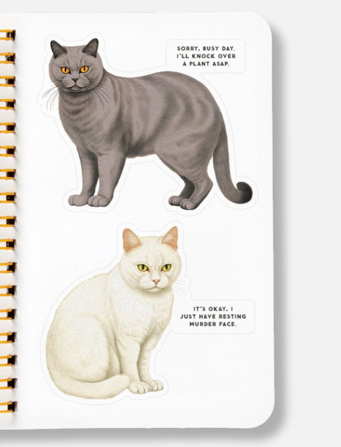 חוברת מדבקות Moody Cats