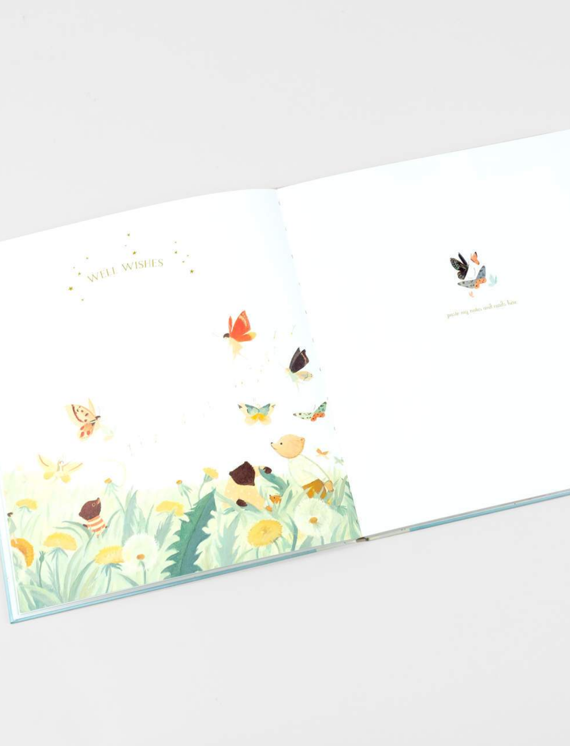 יומן מזכרות לתינוק: The Wonderful Baby You Are