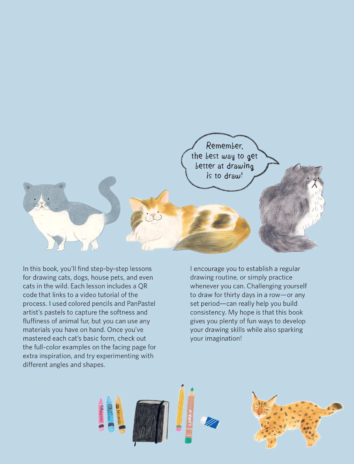 ספר יצירה: Cats Drawing Class