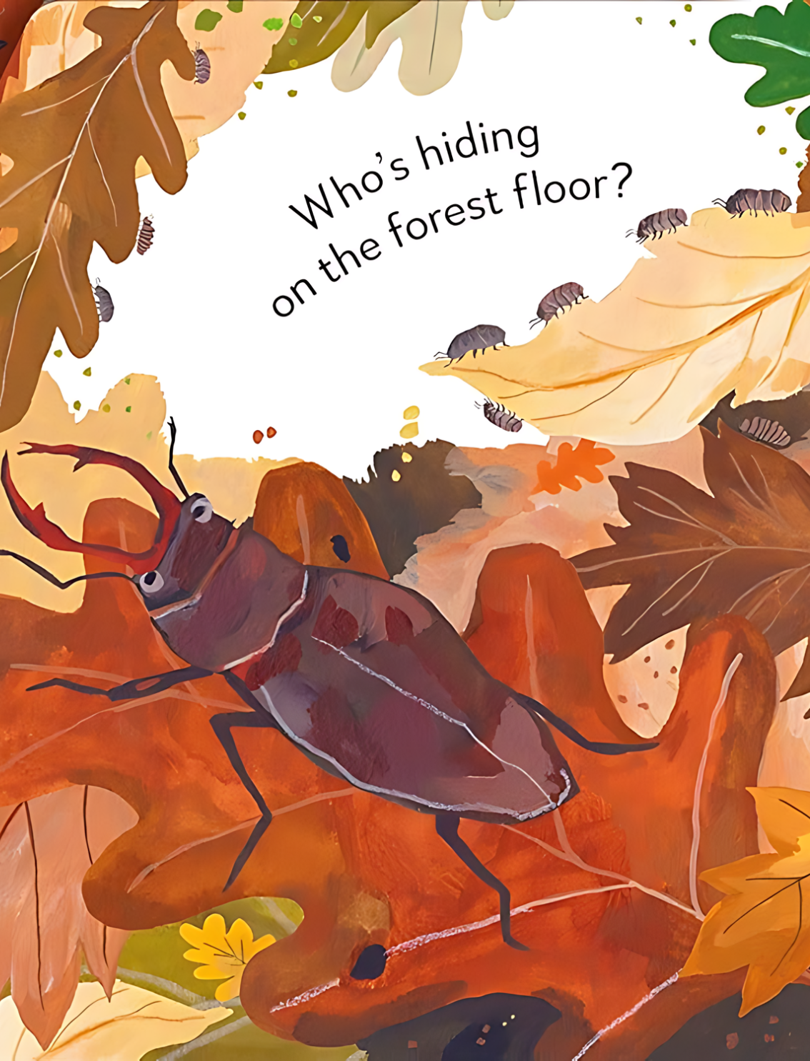 ספר פופ אפ: Peekaboo! Forest