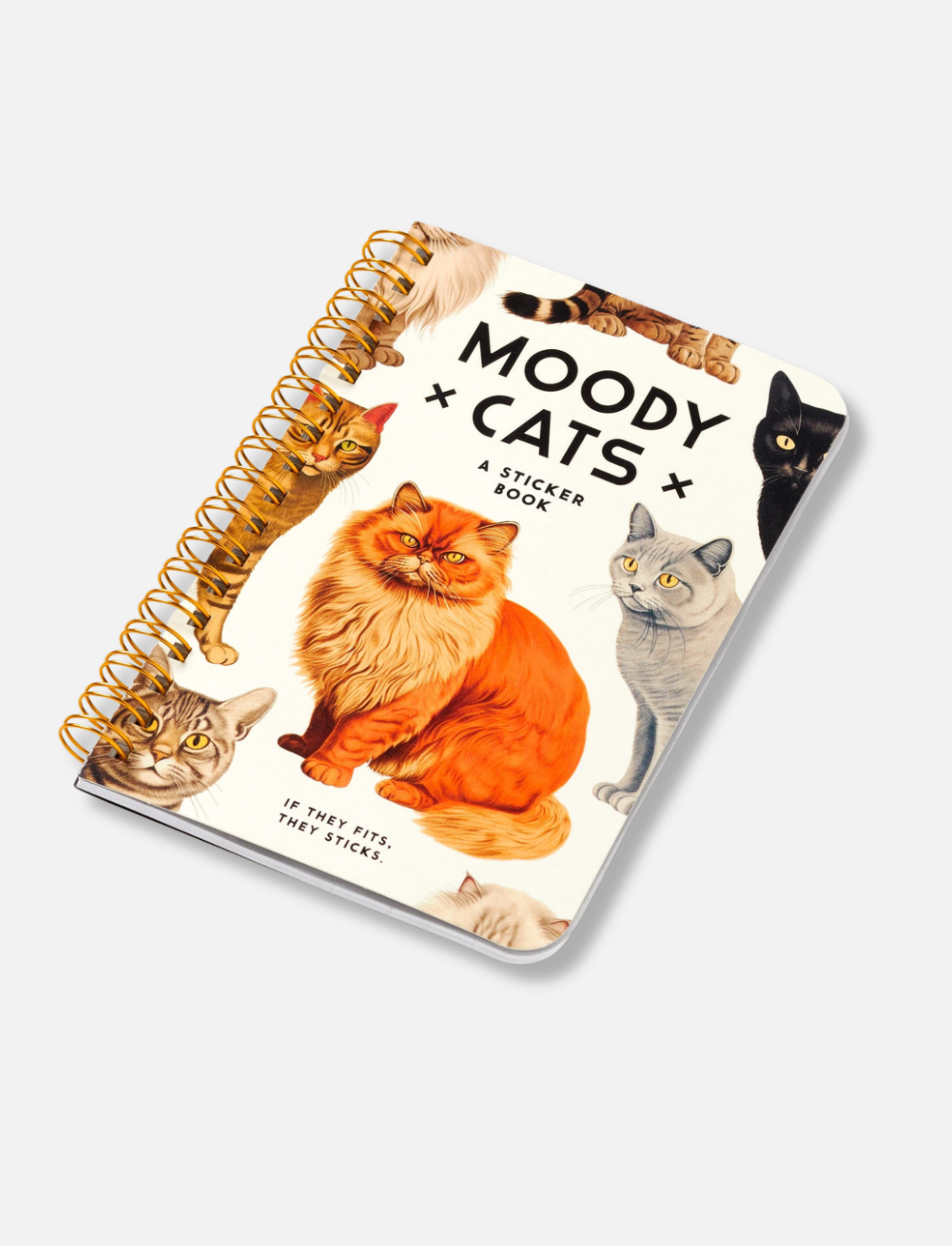 חוברת מדבקות Moody Cats
