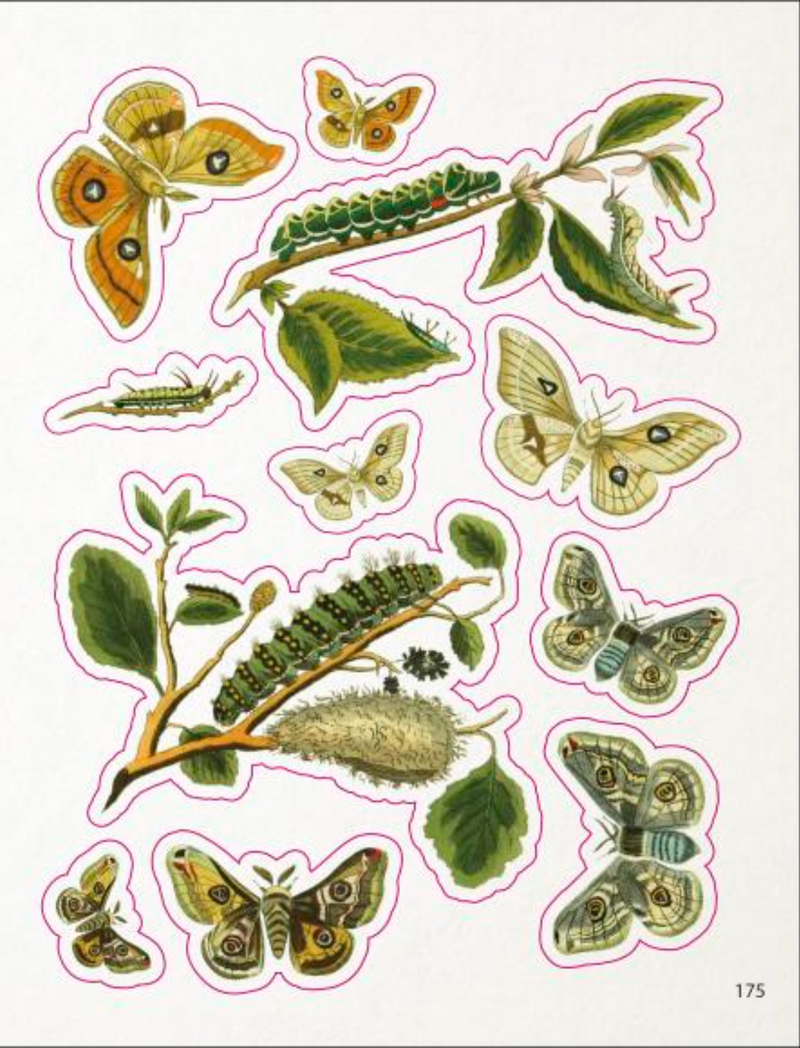 ספר מדבקות: The Bees, Birds & Butterflies Sticker Anthology