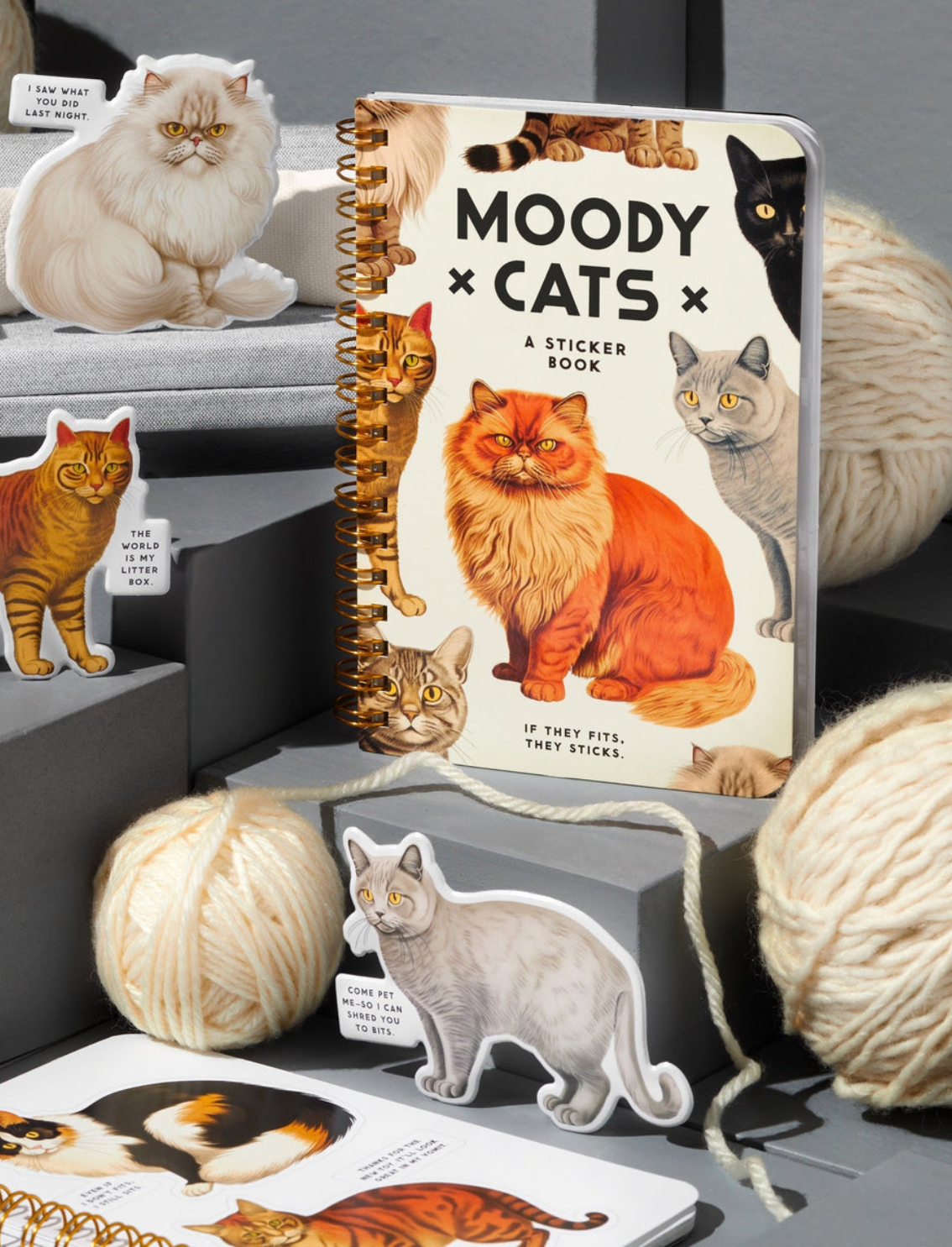חוברת מדבקות Moody Cats