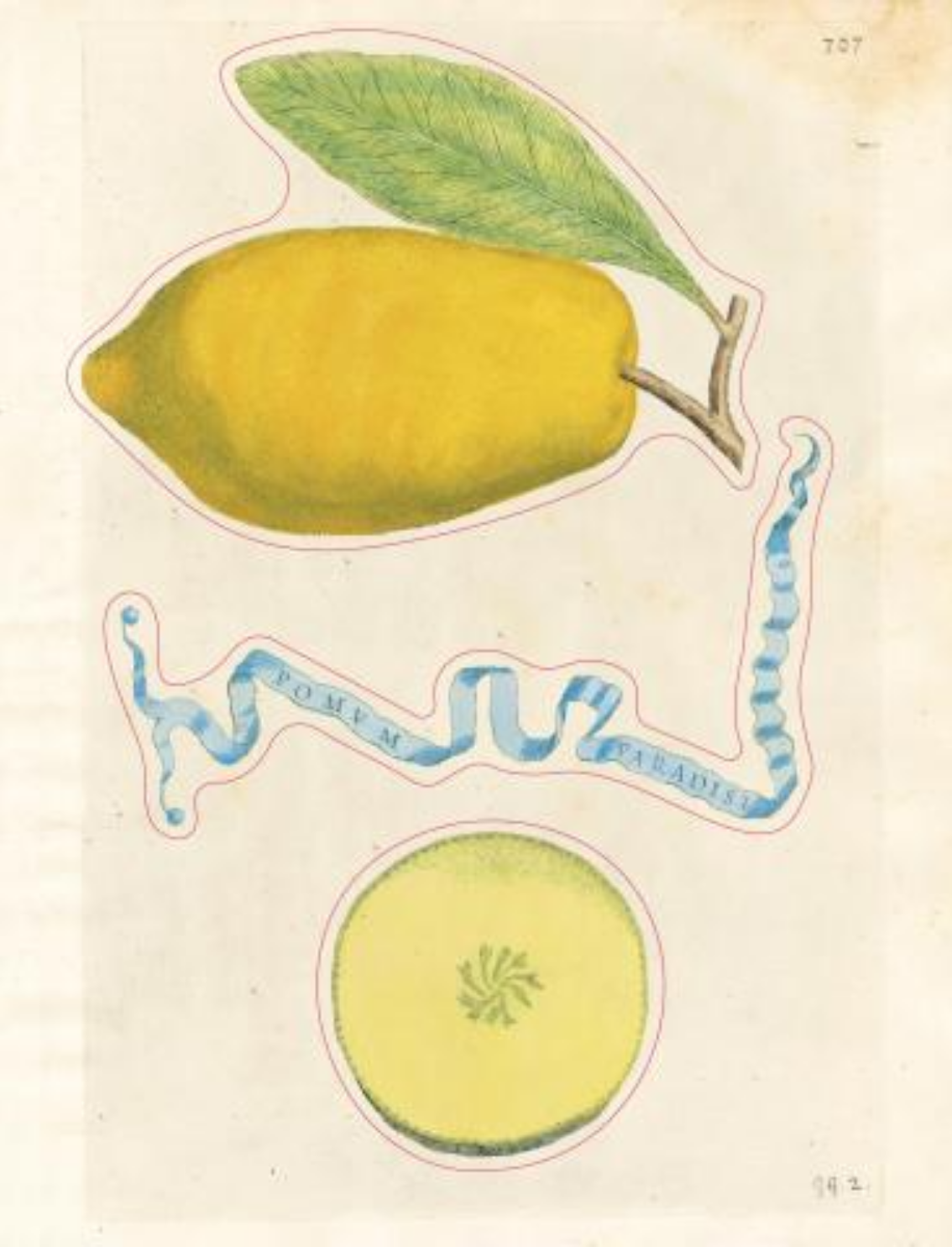 ספר מדבקות מאוירות John Derian 2