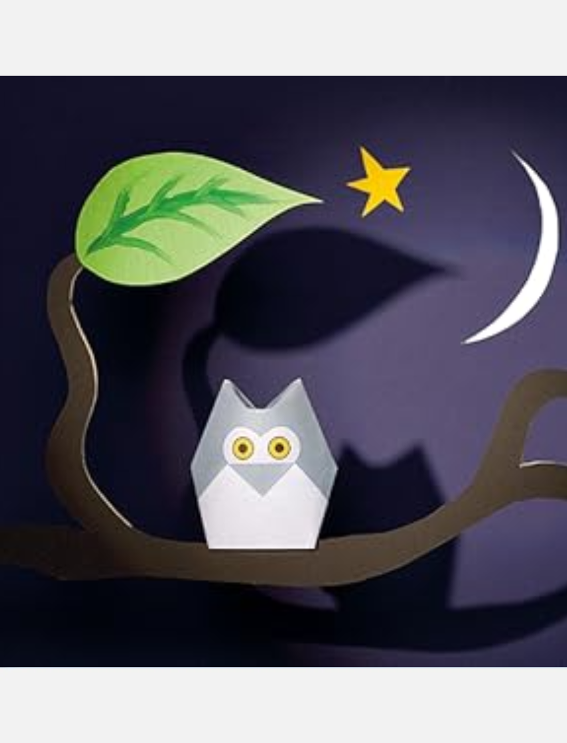 סט אוריגמי Wild Animals