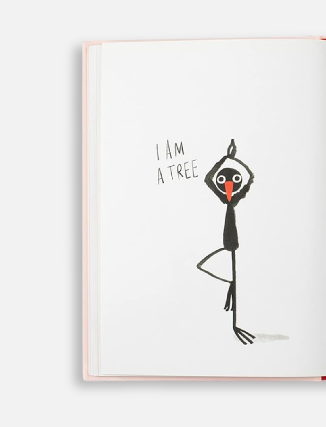 ספר התעמלות Yoga for Stiff Birds