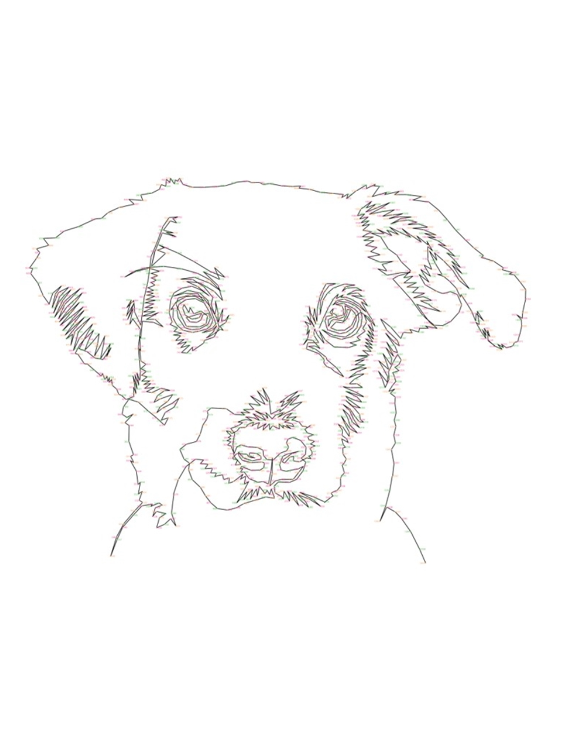 חוברת 'חבר את הנקודות' Join The Dogs