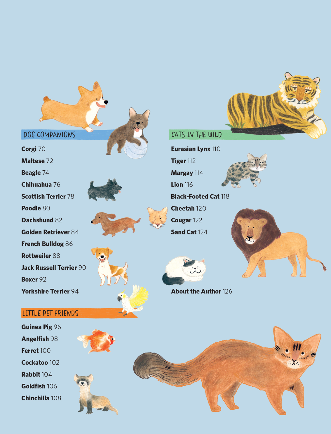 ספר יצירה: Cats Drawing Class