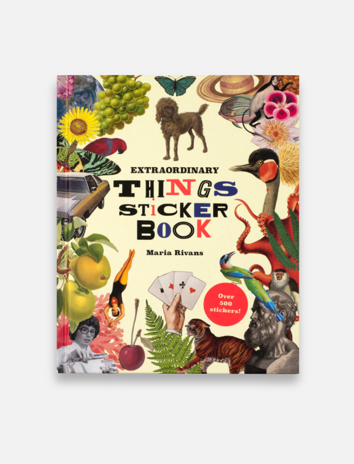 ספר מדבקות Extraordinary Things