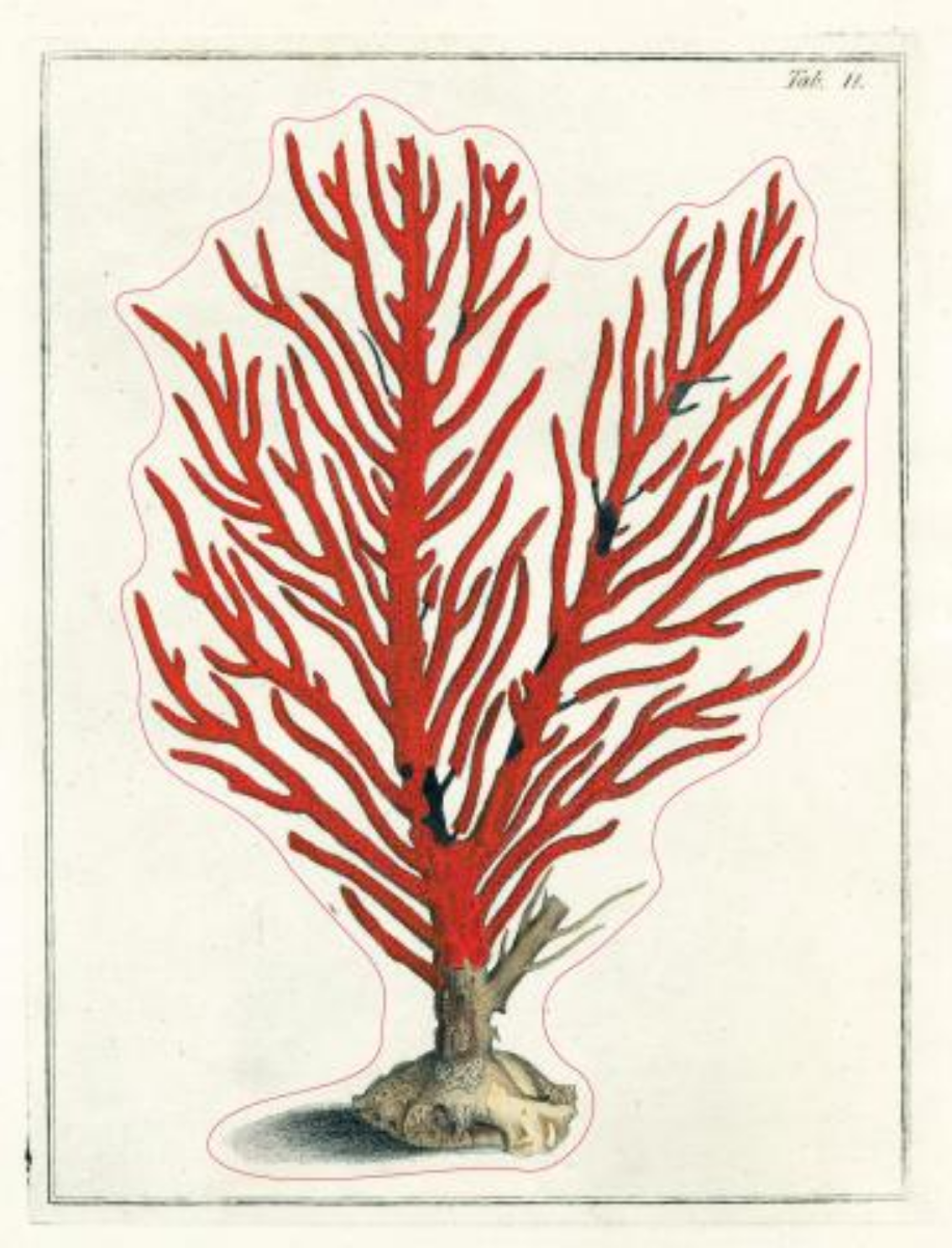 ספר מדבקות מאוירות John Derian 2