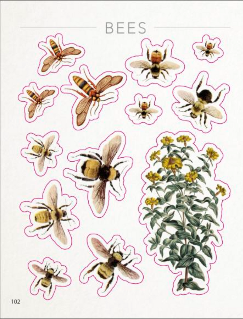 ספר מדבקות: The Bees, Birds & Butterflies Sticker Anthology