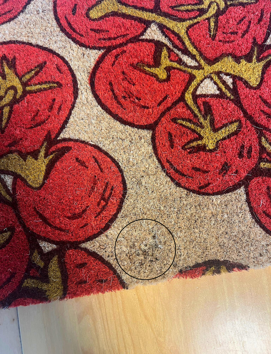 Almost Perfect - שטיח כניסה Tomatoes