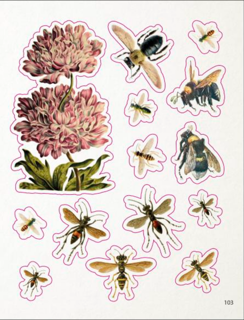 ספר מדבקות: The Bees, Birds & Butterflies Sticker Anthology