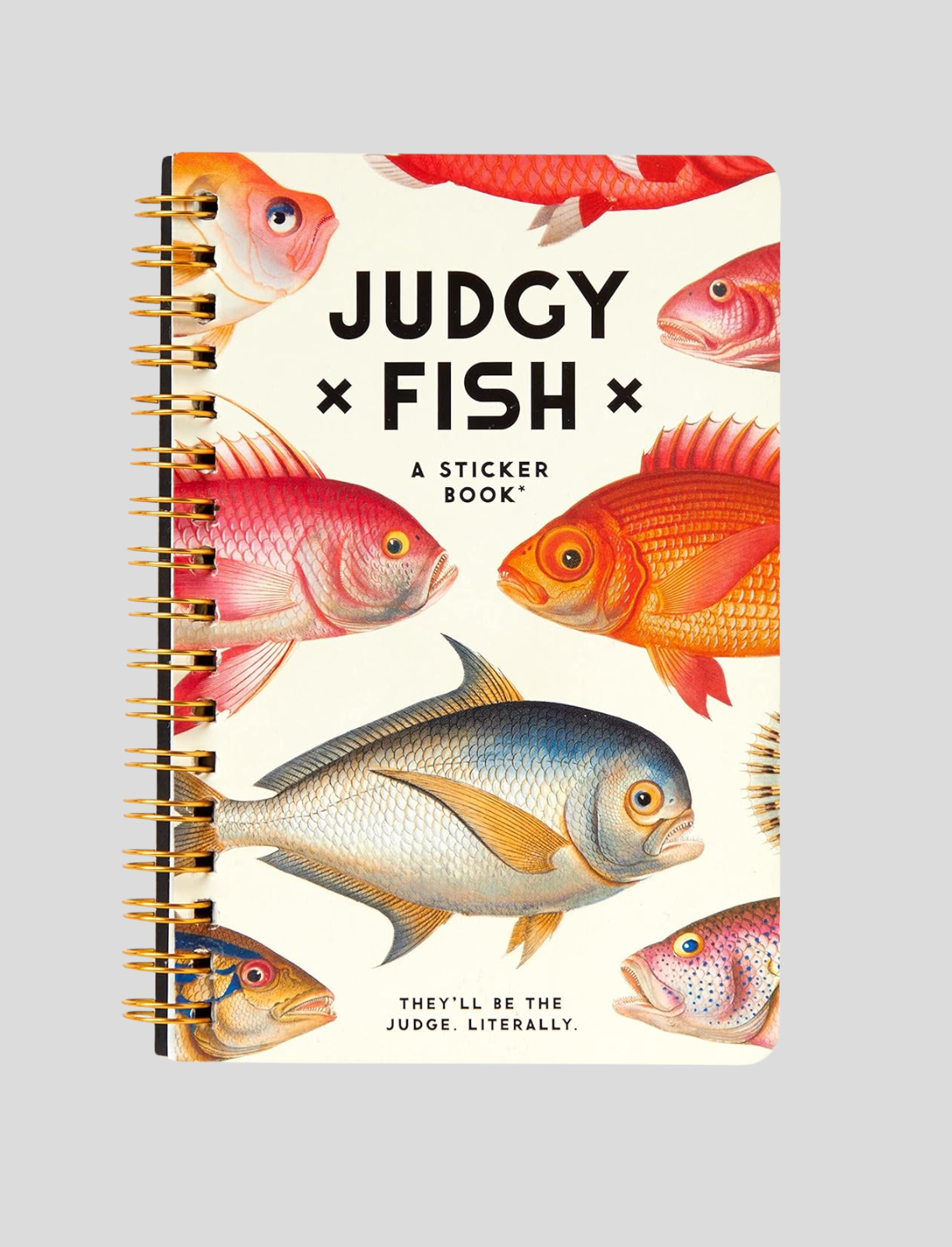 חוברת מדבקות Judgy Fish