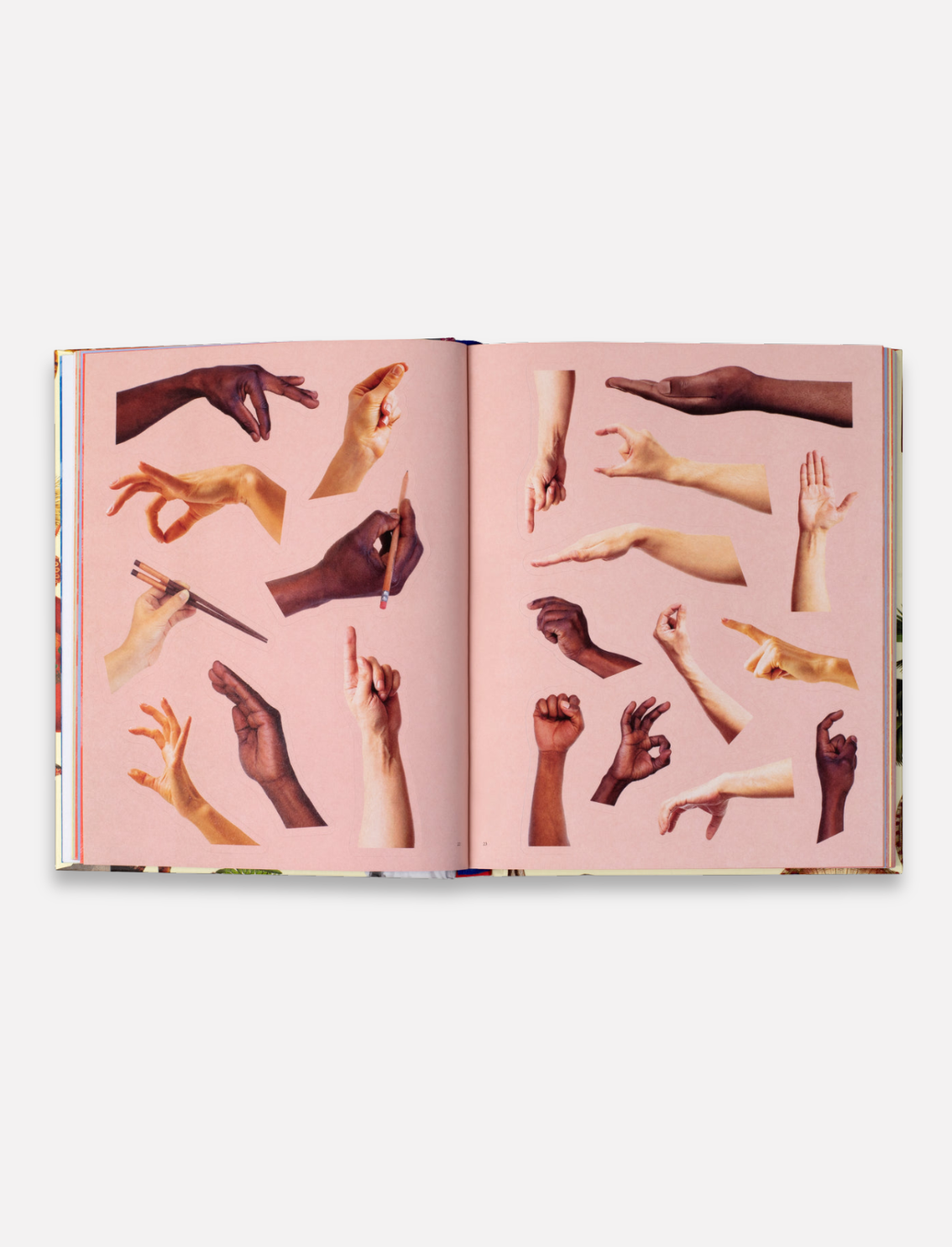 ספר מדבקות Extraordinary Things