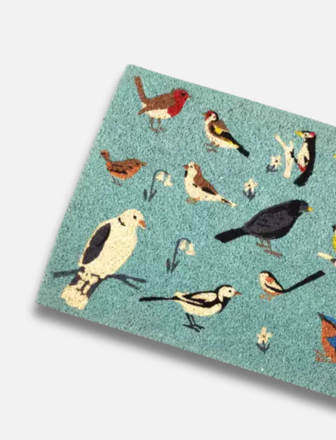 שטיח כניסה Birds