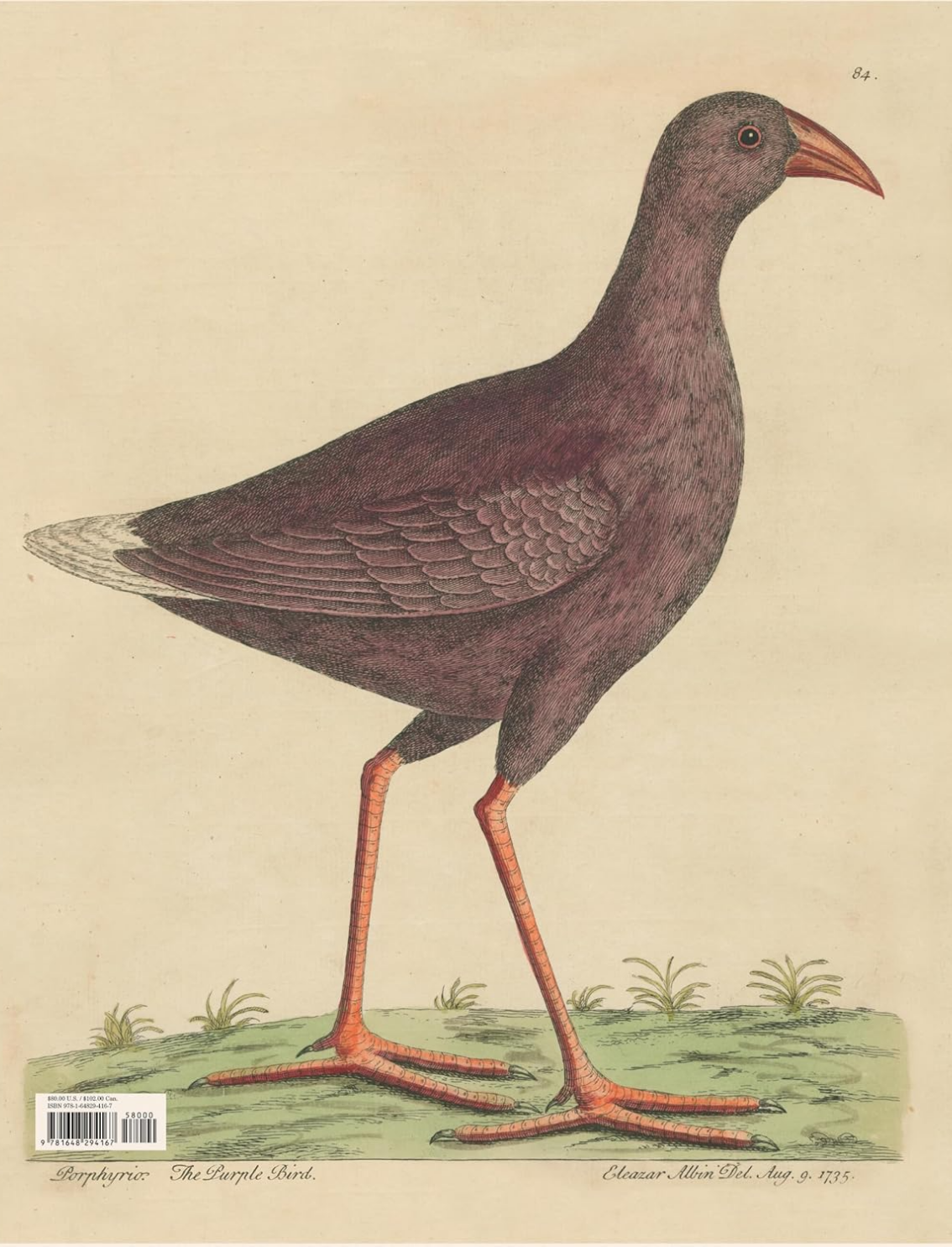 ספר מדבקות מאוירות John Derian 2