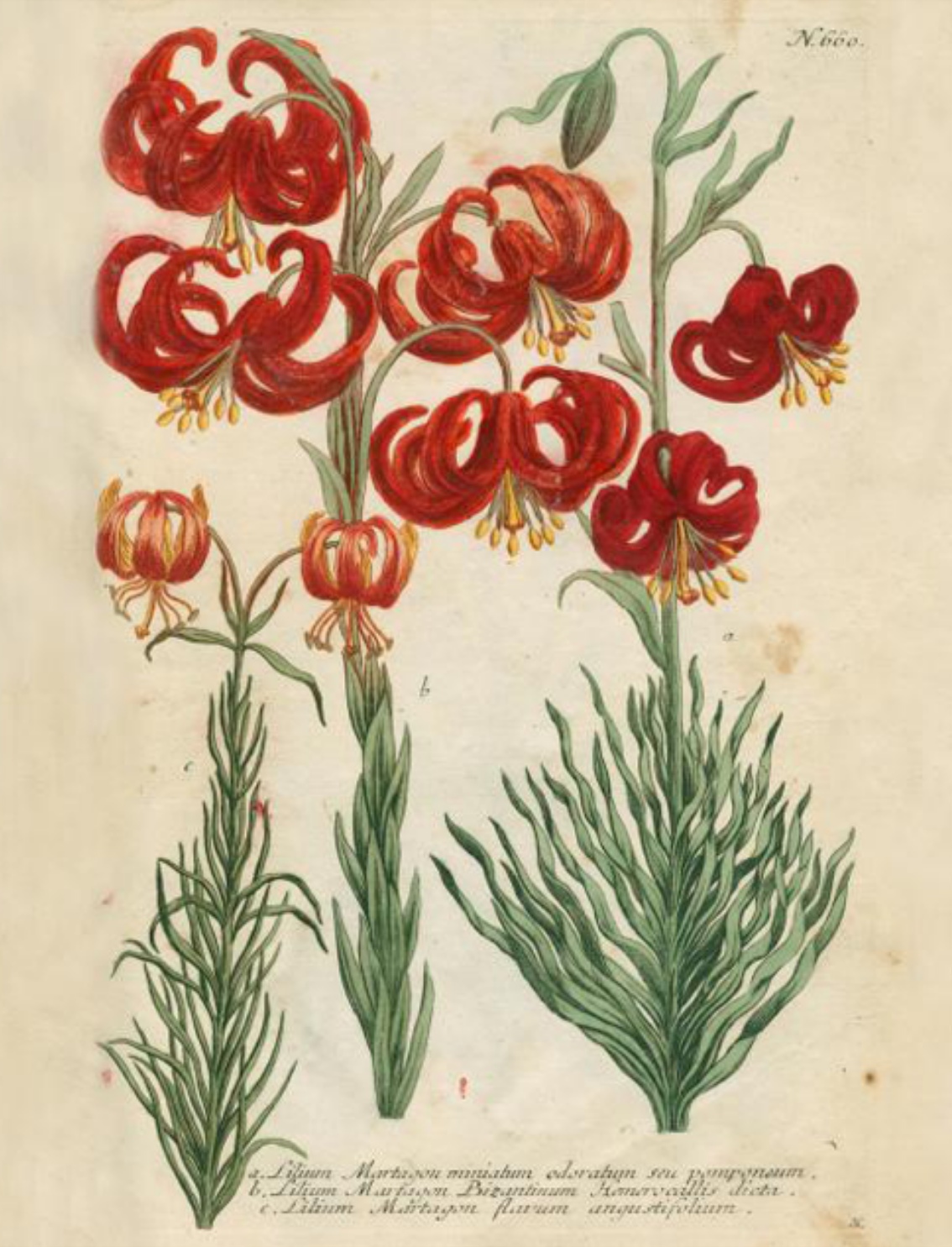 ספר מדבקות מאוירות John Derian 2