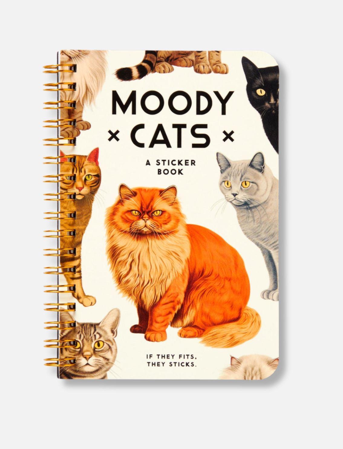 חוברת מדבקות Moody Cats