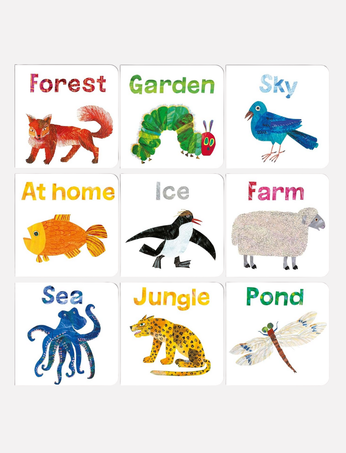 מארז ספרונים Eric Carle: Big Box of Little Books