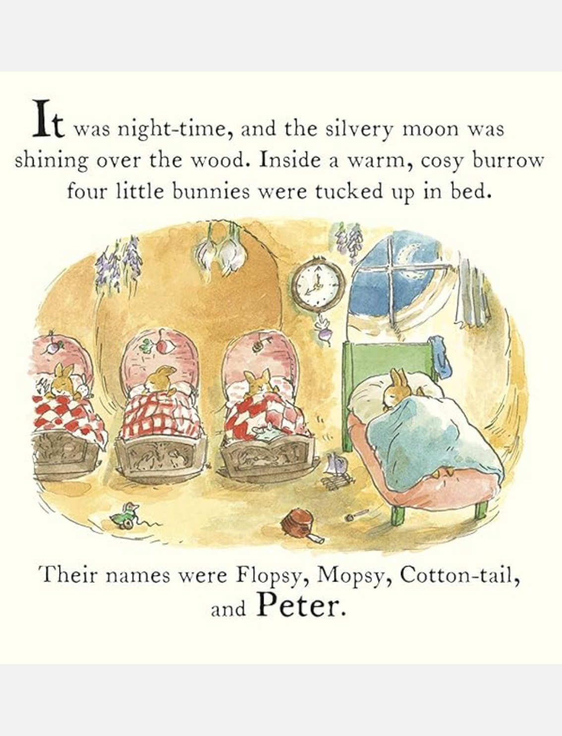 סט 2 ספרים ובובת חיבוק: Peter Rabbit Snuggle Set